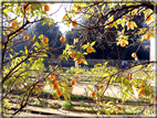 foto Villa Borghese Pinciana